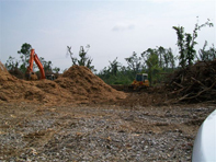Storm Recovery