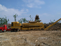 Storm Recovery