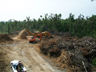 Storm Recovery