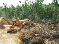 Storm Recovery