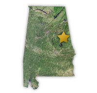 Our Location