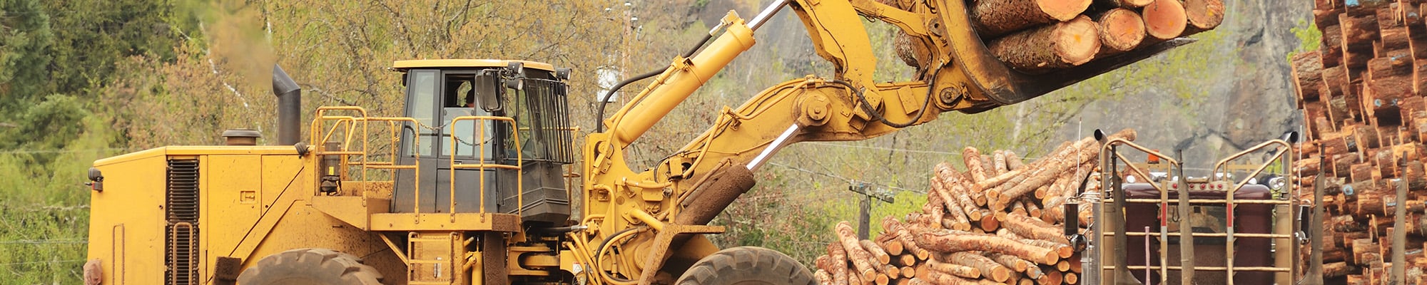 Forestry Equipment